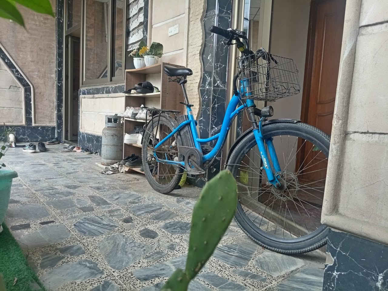 مرحبا بايسكل مساعد شحن للبيع بطارية ممتازة سعر ٥٠٠ وبي مجال الطيبين


**إذا كنت صاحب هذا الإعلان وتريد حذفه لأي سبب، رجاءا أرسل رسالة إلى الدعم الفني**