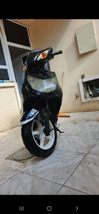 سكنس فحل • ياباني • نوزل خطين