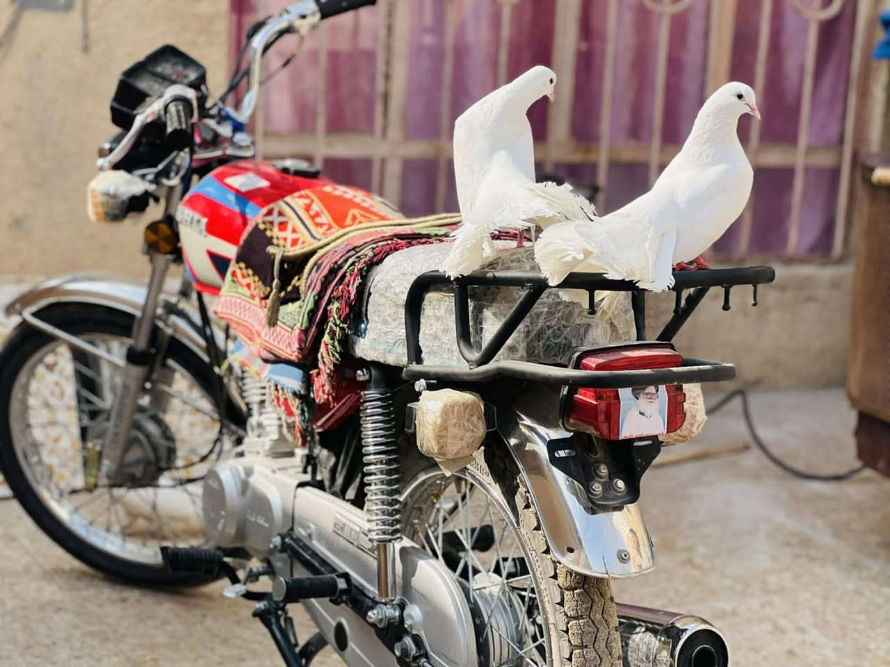 اربعه كير نامه امتياز مكفوله ٢٤ طالعه ب٢٥ دراجه نضيفه للبيع *********** كربلاء
