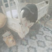 دايون ١٨ • مكينة جديدة • ناصريه ذي قار