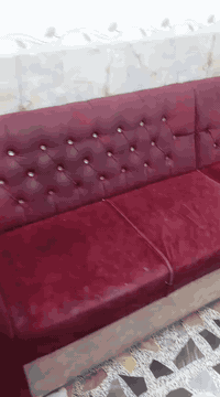 تخم ديوان • مجدد • عملي