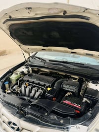 سوناته • ٢٠١١ • وارد كوري