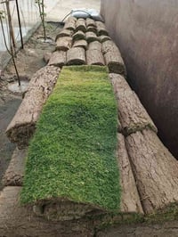 #ياعلي اللهم صل على محمد وال محمد. حبايب كلبي وصلت وجبه جديده من الثيل...