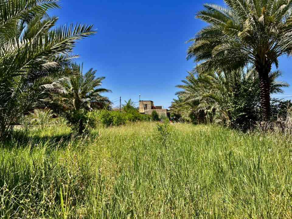 السلام عليكم.  للبيع بيت مساحه 1250طابو زراعي  سند 2025كافت لخدمات  مي كهربائي مولد إلا ستفسار 
***********
