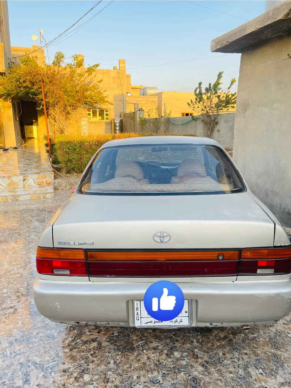 كورلا قديم ٩٢
محور 

كير اوتماتيك

سنوية لل ٢٧

محرك جديد 

كير بحالة جيدة 

تبريد شغال 

صدر أمامي جديد

صدر خلفي فقط طبلة نقص 

مصبوغة حزام 

السعر 4,400 $
***********
