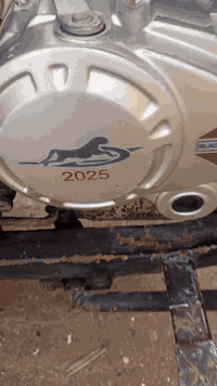 ستوته • موديل١٩ • كفاله عامه