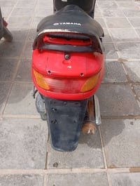 فراشه • ياباني • مكفولة