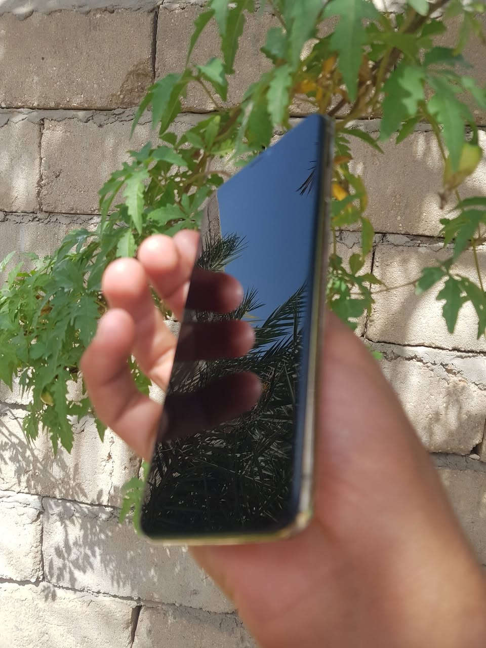 سلام عليكم إكس ماكس للبيع
عوزه بس بطارية شغال لجهاز ذكره512

دبل شريحة عوزه بس بطاريه وضهر مكسور كمرات 

بيهن غواش لماميه مابيها شي 

السعر 75قفل


**إذا كنت صاحب هذا الإعلان وتريد حذفه لأي سبب، رجاءا أرسل رسالة إلى الدعم الفني**