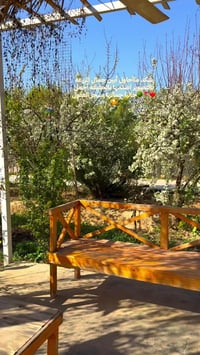 مزرعه الرضا • مزرعه منتجع • بلد