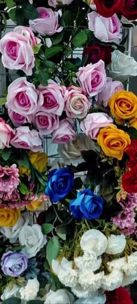 القاسم • شارع ام عياش