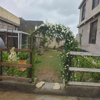 بسماية قرية عشرة • ٥٦٠م • ٣ غرف