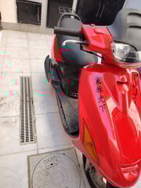 فحل • جديده • سلف