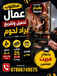 محتاج عمال تحميل وتفريغ براد لحوم موقع عمل بغداد جديدة يومية25 يتوفر م...