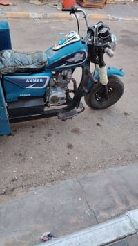 ستوته • مكفولة • موديل ١٩