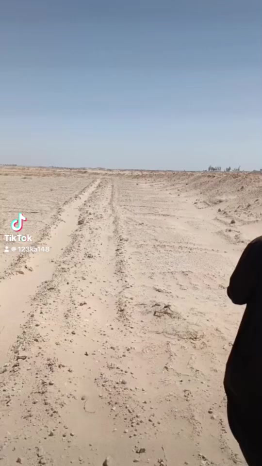 للبيع ارض عقد زراعي المساحة ٩٢ دونم  واقع حال اكثر من ١٠٠ دونم  المكان العزية المقاطعة ٨ تحتوي على بير ماء ١٢٠ متر ماء شبه حلو  ارض جاهزة للزراعه من ماء ومولد كهرباء 
وتعديل  وتسوية الارض ليزر. جداً قريبه من الشارع العام 
***********4
