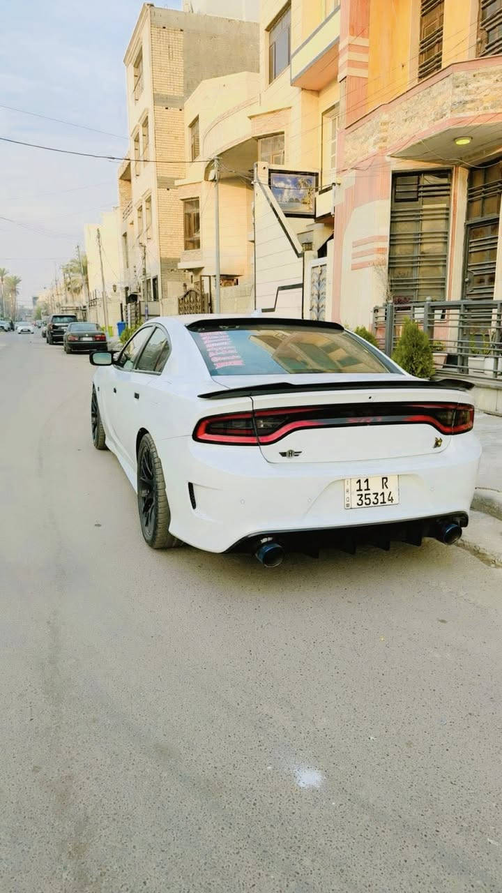 سلام عليكم شباب 
جارجر سكات باك للبيع 
موديل 2022 
اللون ابيض 
مكينه V8 / 6400ccm
ماشيه : 35 m 
رقم بغداد بأسمي والتحويل ثاني يوم 
المواصفات 
——————————-
كشنات كنتاره احمر مختم ( سكات باك ) 
فجوج بريمبو 6 بستم 
اكسل قفل 3.9 
كير 8 نمر 
دبات موبار سود
شاشه كار بلي 
كشنات تدفئه تبريد 
4 مودات قياده 
ذاكرة خزن ميموري 
حساسات خلفيه + جانبيه 
كامره خلفيه 
وباقي مواصفات السكات باك معروفه 
الأضافات 
———————————
لدات اوركال متغير 
وسقف روز رايز

حادثها 
——————————-
جاملغ وبنيد فقط 

* علماً السياره مناقصها اي شي جاهزه مجهزه 
* لا بيها تكحيل ولا بارد وكشرها كلش حلو 
 السعر 228 وبيها مجال بصيط وبالعافيه على الي ياخذها
مكاني بغداد / المنصور 

شراي يتصل ***********
