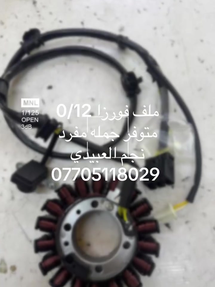 زبائن معرض الليث الكرام اسعد الله أوقاتكم بكل خير 
توفر عدنا ملف فورزا 012 اصلي بلادي متوفر جمله مفرد عنوانه بغداد الكفاح فضوه عرب 
نجم العبيدي ***********

