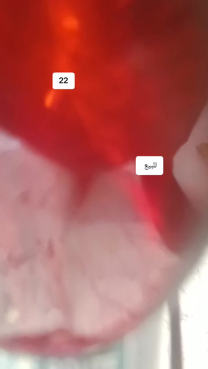 سلام عليكم باسكل للبيع سعر  140 وبي مجال مكان نجف كوفه سهله


**إذا كنت صاحب هذا الإعلان وتريد حذفه لأي سبب، رجاءا أرسل رسالة إلى الدعم الفني**