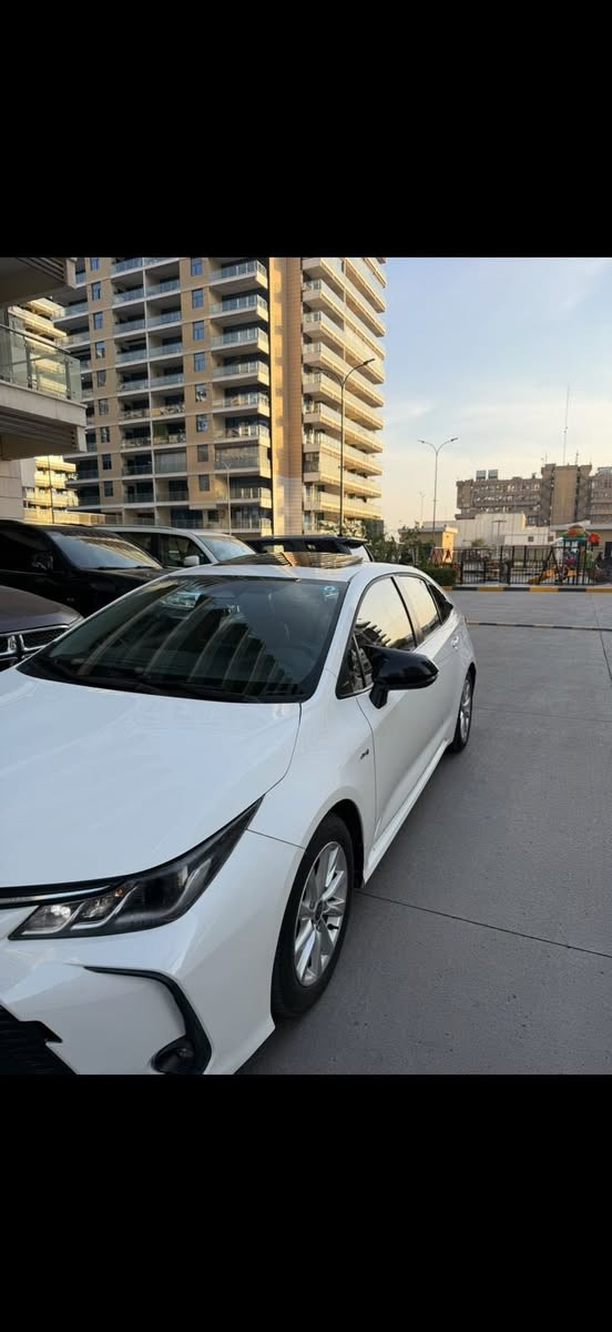 كورلا هايبرد 2025 
ماشيه27

سعر 146 وبيها مجال جدا بسيط 

ملاحضات 3 رصعات حصو صغار 

 جاملغ خلفي فقط هلال صبغ بسبب دحجه ناشرلك صوره 
بارد كصه البنيد 
وشخط رفيع جدا كحلته كارت
ناشرلك صوره الشخط 
عنواني بغداد اعضميه او شارع حيفا
***********
