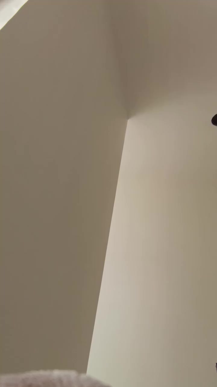 ابو زينب شغل درجه اوله
جص وبورك
***********
