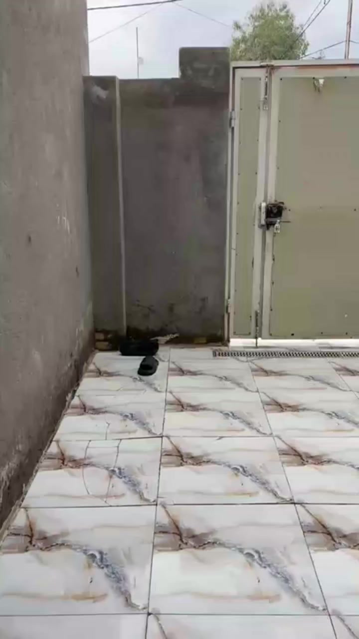 دار للايجار في حي المهندسين
يتكون من غرفتين وصاله وبراني ومطبخ وصحيات 

المقدمة 6 اشهر  ..... السعر ايجار 250الف
***********
