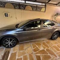 ٢٠٢٤ • بدون صبغ • رقم اربيل