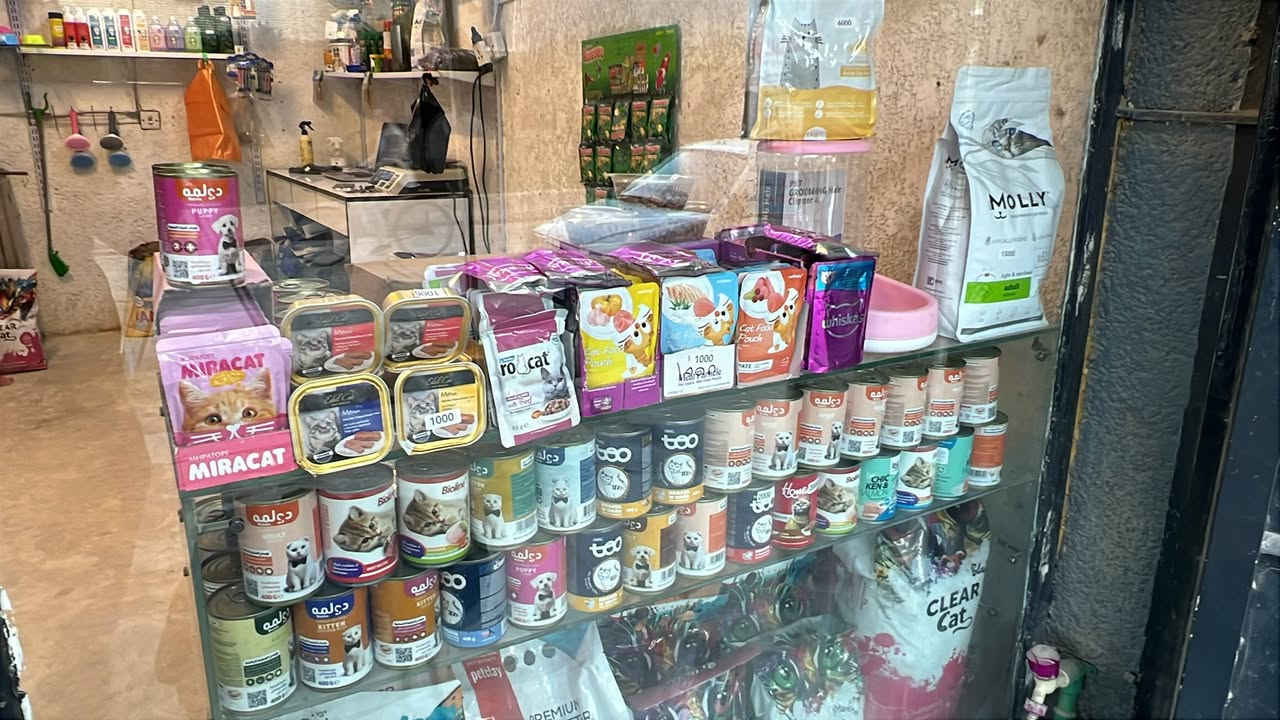 ✨ توفر من جديد في مجموعة معرض الامزون ✨
كل ما يحتاجه حيوانك الأليف بأسعار مميزة وجودة عالية 🐱🐶

🔹 مغلفات ويسكاس (صغار وكبار)
💰 سعر القطعة: 1000 دينار

🔹 جميع المعلبات
💰 القطعة 2000 دينار
🎉 3 قطع بـ 5000 دينار

🔹 جميع المغلفات
💰 1000 دينار للقطعة

🔹 داري فود مولي
💰 سعر الكيلو: 5500 دينار

🔹 داري فود ملون للكبار
💰 سعر الكيلو: 5000 دينار

🔹 رمل قطط بجميع الأحجام
🔹 كافة مستلزمات القطط والكلاب متوفرة

🎁 عرض خاص:
عند وصول مشترياتك إلى 50,000 دينار تحصل على خصم مميز 💥

🚚 توصيل مجاني لكافة منطقة سبع بكار

لا تفوّت الفرصة… الجودة والسعر المناسب بمكان واحد 🐾
بانتظاركم


**إذا كنت صاحب هذا الإعلان وتريد حذفه لأي سبب، رجاءا أرسل رسالة إلى الدعم الفني**