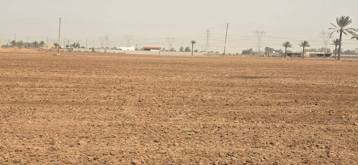 ‎دواﻧﻢ‎ بغداد, العراق


**إذا كنت صاحب هذا الإعلان وتريد حذفه لأي سبب، رجاءا أرسل رسالة إلى الدعم الفني**