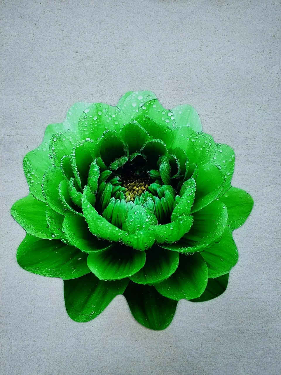 #عرض_خاص🔥 🔥 🔥

#الدواسة_الوردة_الترند  3D

#أرضية_جلد_ضد_تسرب_الماء ومانع تزحلق درجة أولى وشرط الفحص عند الاستلام

#القياس_الكبير
والصور حقيقية يعني تجي نفس الصورة بالضبط  يعني افحص يله تستلم 👍 👍

#القطعة ٣ الاف 🔥🔥 

متوفر توصيل لجميع المحافظات


**إذا كنت صاحب هذا الإعلان وتريد حذفه لأي سبب، رجاءا أرسل رسالة إلى الدعم الفني**