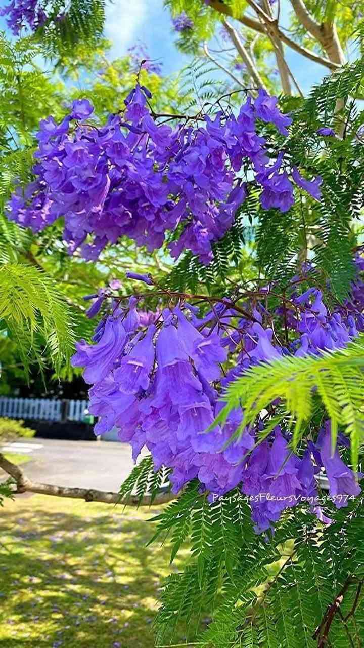 جاكراند   السعر   ٦٠٠٠💜💜💜💜💜العنوان الانبار راوه الجديده آخر شارع بيت علي حماد محمد قرب جامع محمد الفاتح وعدنا توصيل راوه عانه القائم حديثه الرمادي الفلوجه بغداد العامريه وحي الجامعه واليرموك والمنصور التوصيل حسب المكان واليجي يختار حيا الله


**إذا كنت صاحب هذا الإعلان وتريد حذفه لأي سبب، رجاءا أرسل رسالة إلى الدعم الفني**