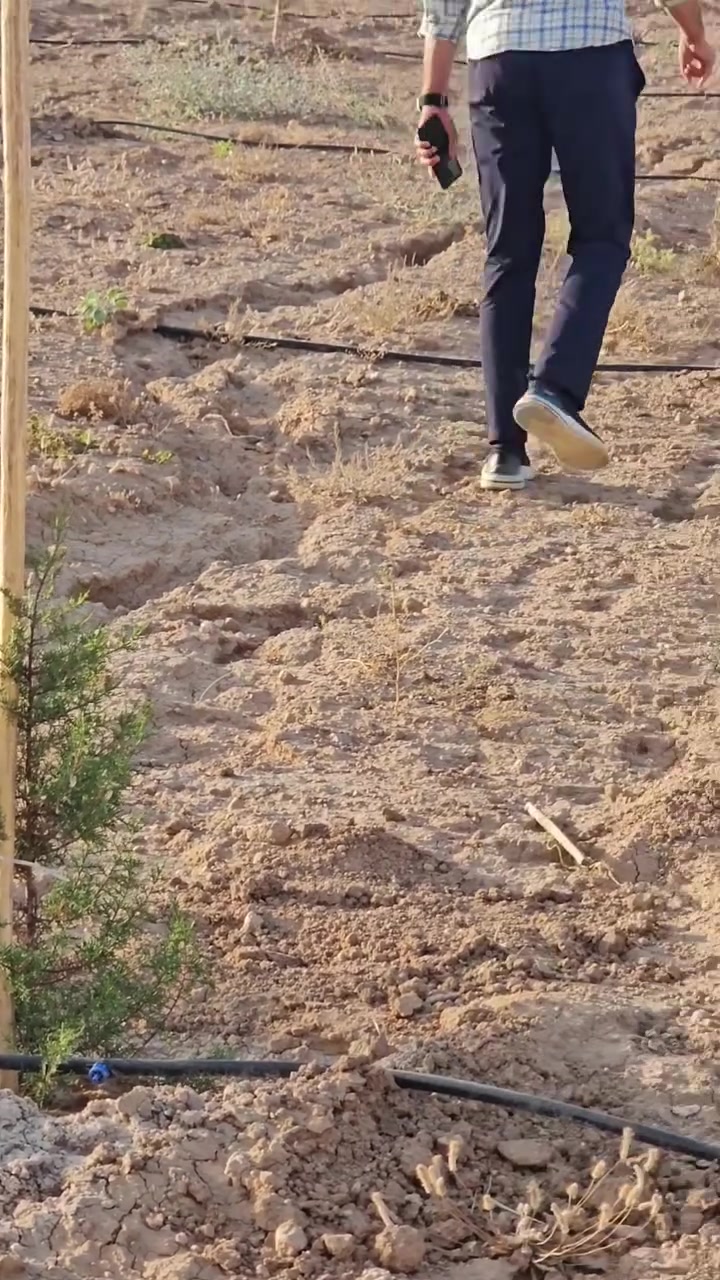 لتشجير العراق معا


**إذا كنت صاحب هذا الإعلان وتريد حذفه لأي سبب، رجاءا أرسل رسالة إلى الدعم الفني**