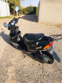 مكلف • بنشر • تكريت