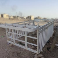 محجل • جديد • ميسان