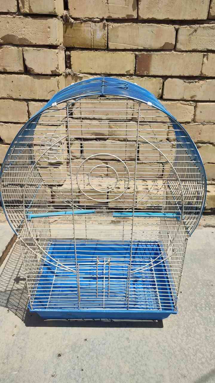 سلام عليكم قفاصه للبيع شلع كلهن ماابيع واحد او اثنين لا بيهن كسر الله شاهد نضيفات كلشش القفص الخشب يشيل فوك 30 طير وياة خانات خمسة والعاب السعر 40وبي مجال العنوان بغداد خلف الرستمية الرقم. ***********فقط واتساب.
