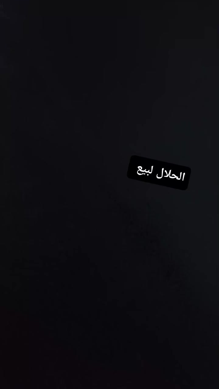 سلام عليكم شباب دراجه ماكس منغولي للبيع السعر 400وبيه مجال مكان كوت حي جهاد ليريده يراسني خاص


**إذا كنت صاحب هذا الإعلان وتريد حذفه لأي سبب، رجاءا أرسل رسالة إلى الدعم الفني**