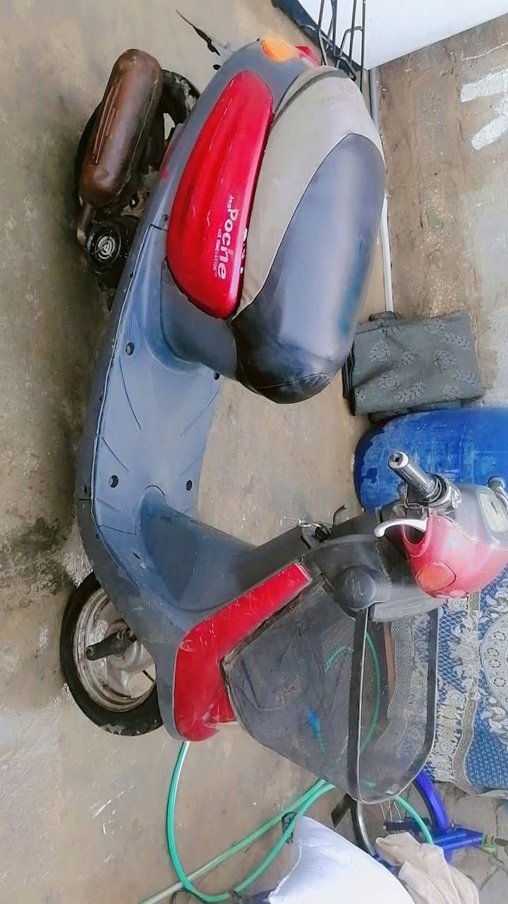 سلام عليكم دراجه منغولي مجفته تجفيت اصلي بعده ع سحك دراجه نضيفه بس نقصه باتري وبيه صوت بل گير خفيف ماعليه الدراجه نقصه بس باتري وتصعد دهن يعني مو خبط لايت يشتغل عل هندر هوه والهورن بريك كدام بريك وره السعر 220 وبيه مجال العنوان🔷🔷🔷 كربلاء حي العامل المنطقه الثامنه قرب جامع ال شبل متواجد مازنجر 🔴🔴🔴اذا تريده بيك خير ودلل مو شراي لا تضل تواعد وما تجي عيب عليك صير زلمه وكد احجايتك


**إذا كنت صاحب هذا الإعلان وتريد حذفه لأي سبب، رجاءا أرسل رسالة إلى الدعم الفني**