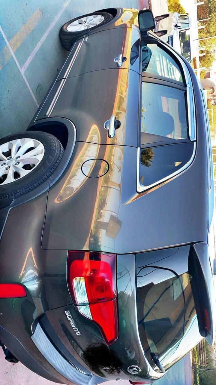 تحيه طيبه السلام
سورنتو 2014 

وارد امريكي 

6 سلندر 7 راكب 

3300 محرك 

حادثها فقط مازدة لايت وشويه من الدعاميه 

تحكمات استيرن جهتين 

بصمات عدد 3

اناره بيضاء ترحب عند البصمه 

اناره ترحيب كلمة سورنتو

شاشه اصليه 

شاشة عطلات ديجتال بلدشبول 

كشنات جلد 

كشنات تدفئه تبريد 

اناره حمراء الاربع بوب

بانورما 

حساس خفض صوت فان التبريد عند الاتصال بلموبايل

مري شفط 

اشاير بلمري

زنون ابيض بلوجكتر ولايت 

تعقب مسار 

حساس اطارات 

بلوتوث

محرك كير غير مفتوح

سماعات انفنتي

8 ايرباك

8 سماعات +تويترات صغار في الخلف

سستم نيكل ستيل اصلي سورنتو

كراسي كهرباء عدد 2

مانع تزحلق

وبعد هواي مواصفات 

السياره فول EX

ماشيه 127 ميل حقيقي 

عل ايدي 

رقم بغداد باسمي سنوي لغايه شهر 11

2026 

السعر 164 ورقه وبيها مجال 

أي استفسار 
***********1

مكان بغداد  الدورة
