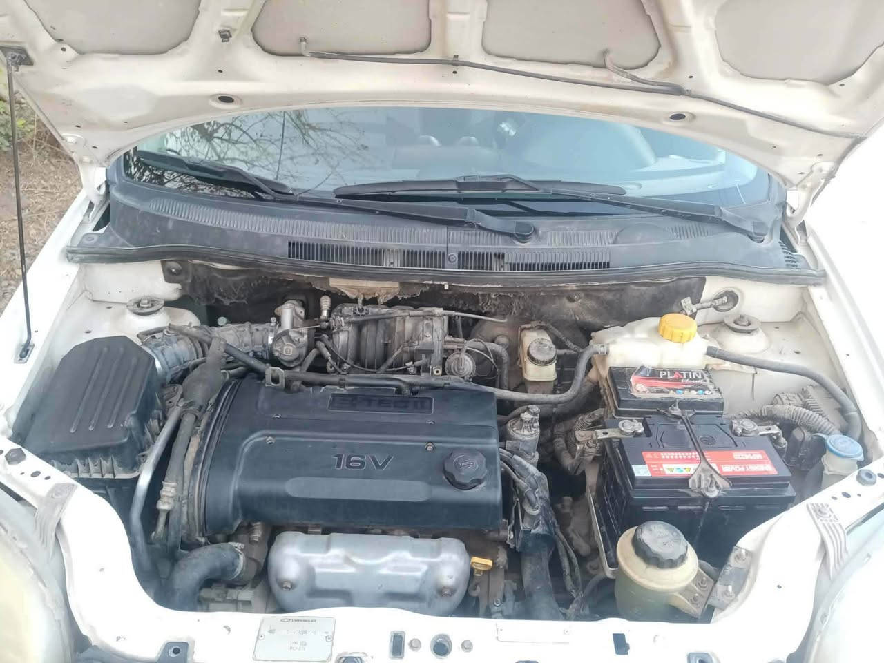 ئەڤیۆ2009 😱(٦٥$) وەرەقەومعامەلەهیچ ئەڤیۆیە نیە لەومۆدیلە ئەوەندە رۆشتبئ ١٨٠رۆشتووەگێڕوومەکینە بەشەرتی ١٠٠فیتەر مەکینە گەورەشاشەئایپات ماشااللە زۆر خاوئن ماوەتەوە زۆر زۆر لەرەسمەکان جوانترەیەک دەرگای سەکنی دواوە بۆیاغە لەگەڵ کەمئک بۆنیتەکەی بئ دەعموو ناوگرتن تەبریت ساردوگەرم مەزبووت کارەبایوو گشت گیانی بەشەرت سەنەوی بەناوی خۆمانە قەپوو قوپووشەپۆل بەشەرت مووسووبراوە بەشەرت  سەنەویشی ئەوەندە نابئت بەسەرچووە غرامەوشتی هیچ لەسەر نیە بەشەرتی هەمووشت 
(***********) كويسينجاك, أربيل
