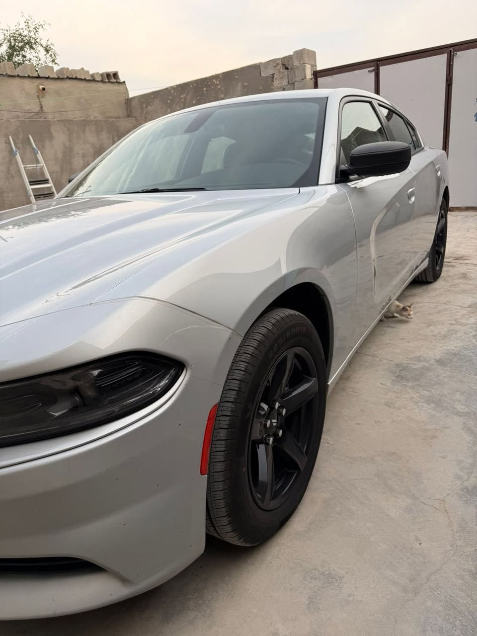 اسلام عليكم للبيع جارجر موديل 2023 تقرير غرق تعمير في امريكا مكفوله كفاله عامه مغلفه PPF من دعاميه لدعاميه رقم بغداد دولي باسمي مداور ثاني يوم سعر250$
الاستفسار ‭0 781 161 3463‬
