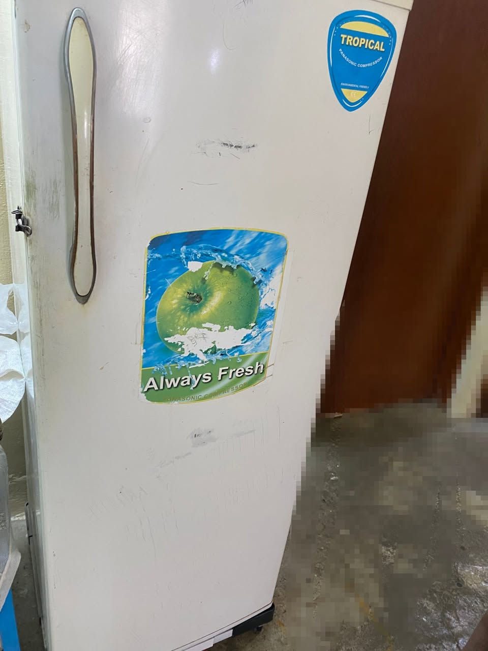 ثلاجة نظيف فريزر فوول تجميد 
السعر 85


**إذا كنت صاحب هذا الإعلان وتريد حذفه لأي سبب، رجاءا أرسل رسالة إلى الدعم الفني**