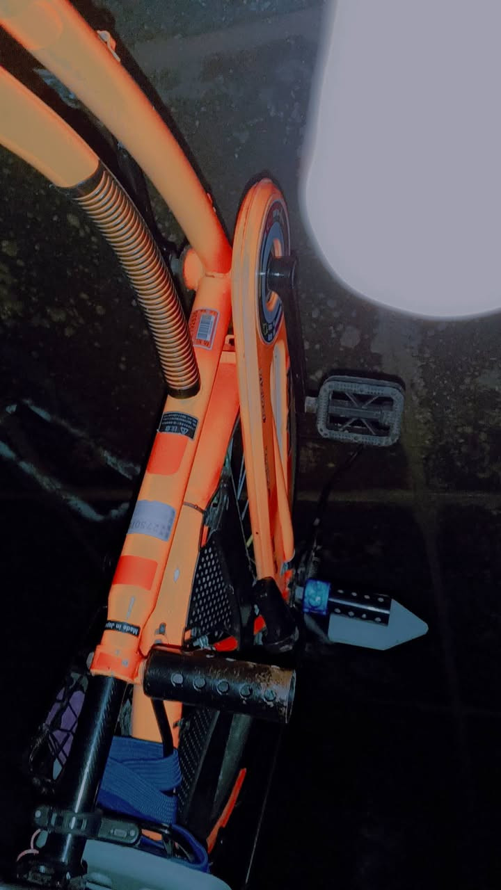 سلام عليكم   باسكل للبيع مكاني شطره   ابيع مزاد 😂 وتحياتي للجميع #اشاره #الجميع


**إذا كنت صاحب هذا الإعلان وتريد حذفه لأي سبب، رجاءا أرسل رسالة إلى الدعم الفني**