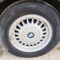 ٧٣٥ • مكفولة • رقم بغداد