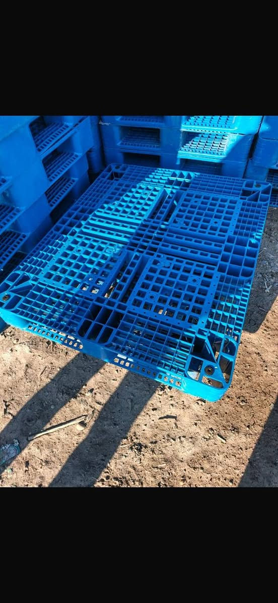 سكيب بلاستك نضيف كلش الوزن 10 كيلو السعر 18 الف العنوان بغداد الدورة الهاتف *********** مكلف بل منشور
