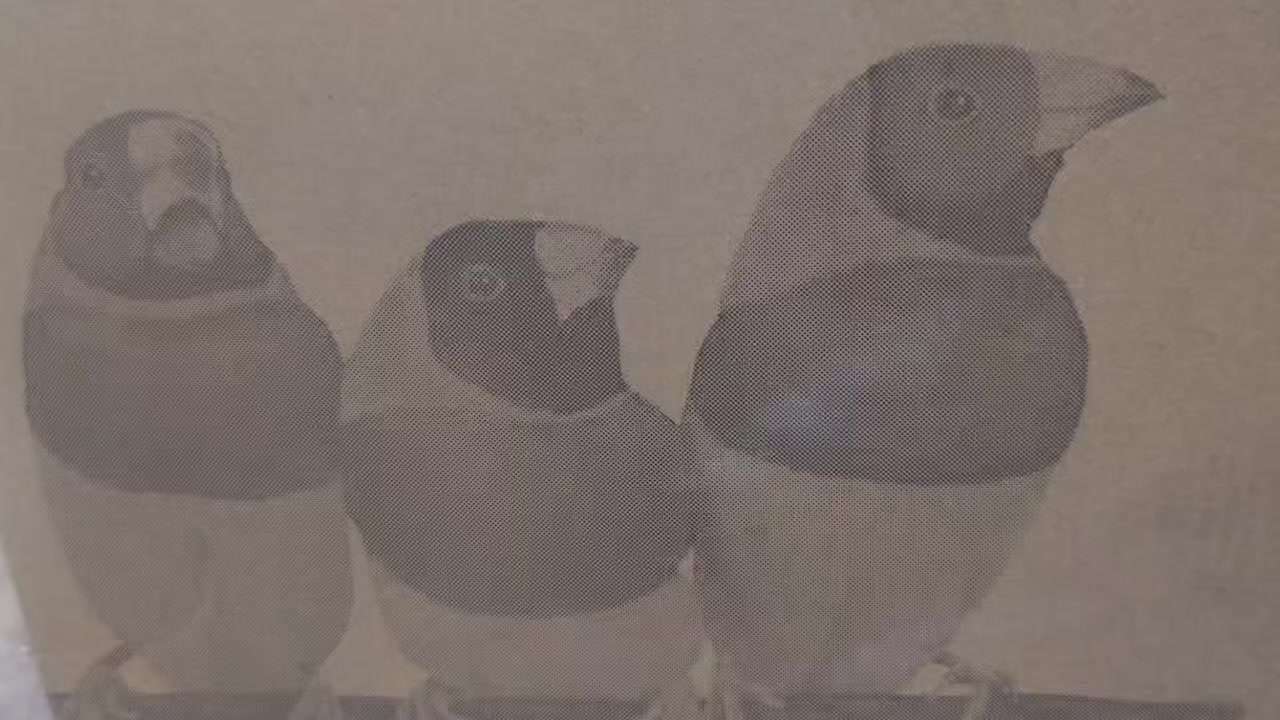 ViewSonic
جديد كامل الملحقات 
خاص فقط الرد


**إذا كنت صاحب هذا الإعلان وتريد حذفه لأي سبب، رجاءا أرسل رسالة إلى الدعم الفني**