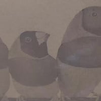 ViewSonic • جديد • كامل الملحقات