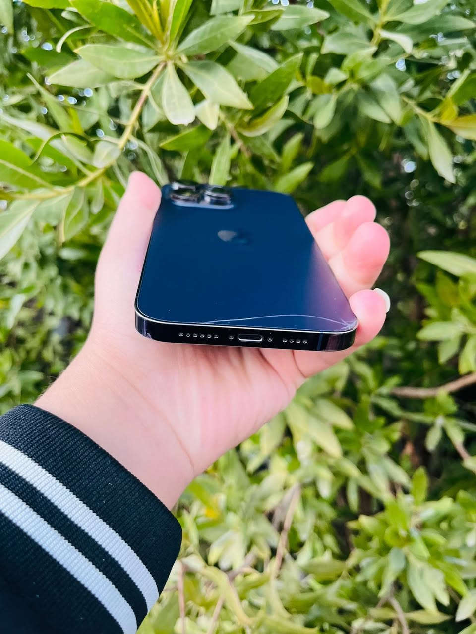 السلام عليكم
آيفون 14 برو ماكس
بطاريه 84 بلادي 
ذاكره 256
كفاله عامه شرط تفحص يالله تاخذه فقط ضهره بي مفطر صغير مثل ماموضح 
عربي شرق اوسط نموذج M 
نضافه 100/100 
لون مميز بنفسجي 
تك سيم كارت 
ملحقاته كامله كارتونه الاصليه و الشاحنه الاصليه 
عنوان نجف حي المهندسين 
لاستفسار اكثر خاص أو لاتصال علا رقم الهاتف 
***********
