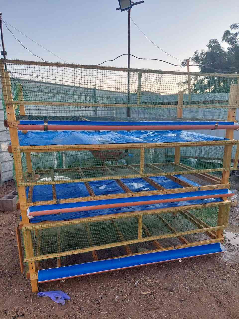 السلام عليكم عندي هاي الاقفاص ابيعهن خشب قيم واخذ الي ايريد يتواصل ويايه على خاص او على وتساب
***********
