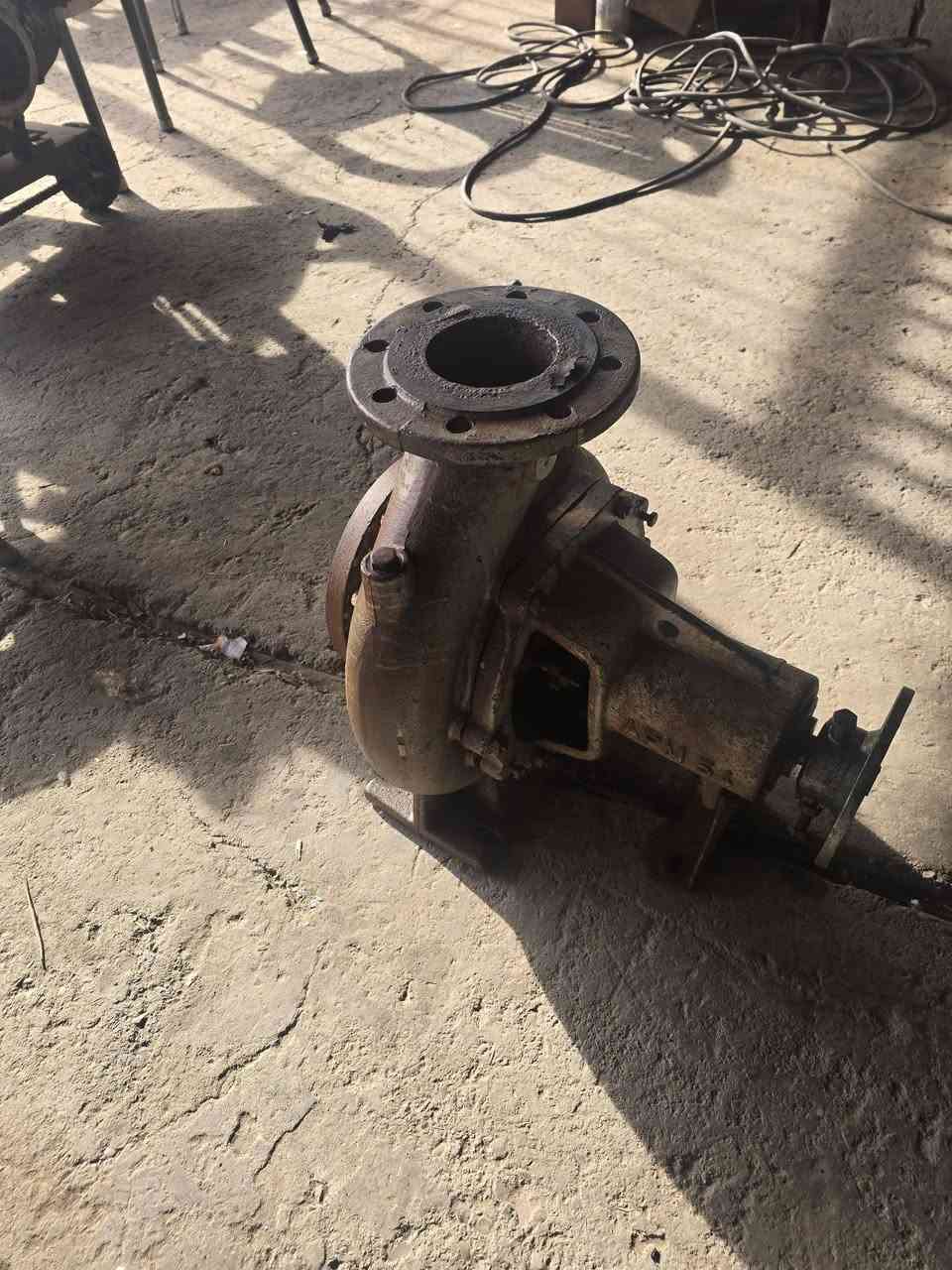 للبيع خنزيرة 5x4  المانية  السعر ٣٠٠ الف العنوان حدودواسط بغداد قرب سيطرة الج  اسيا *********** اثير ***********
