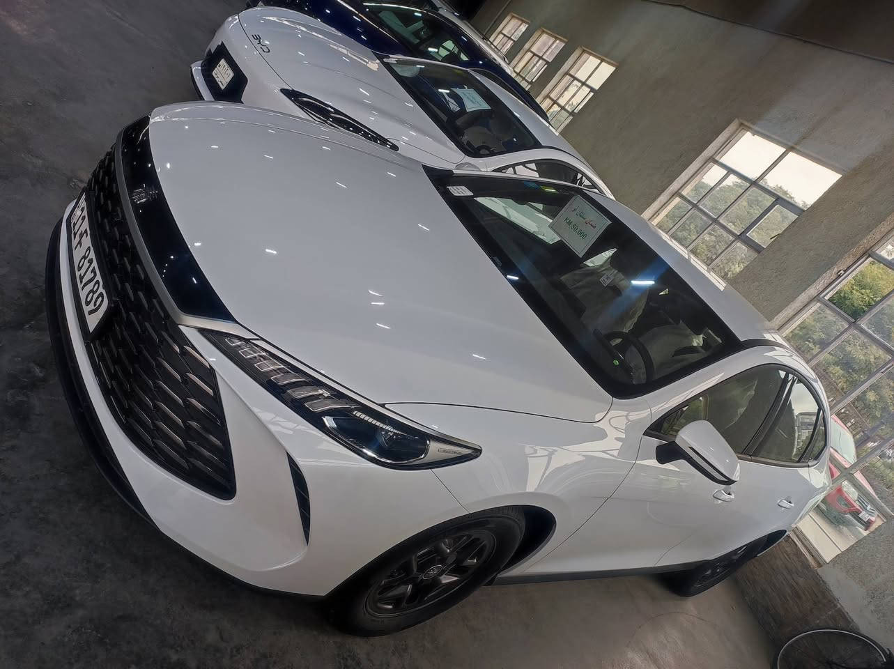 بي وأيدي دي كن بلاص 2025 مرقم بغداد ومثبت لوحات اتصل على الرقم ***********
