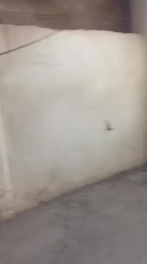 موجود للايجار ناحية ١٤تموز قرب المدارس
***********
